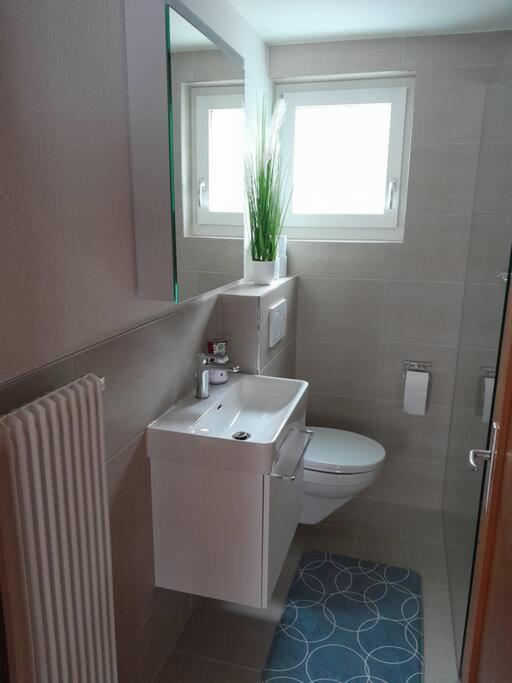2 1/2 Zimmer Ferienwohnung Meiringen Bagian luar foto