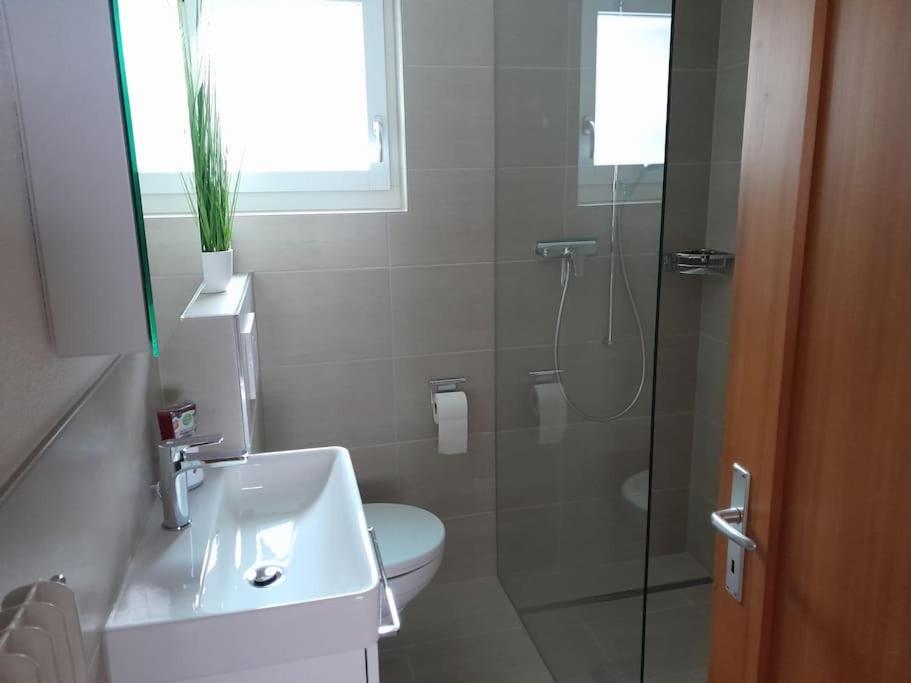 2 1/2 Zimmer Ferienwohnung Meiringen Bagian luar foto